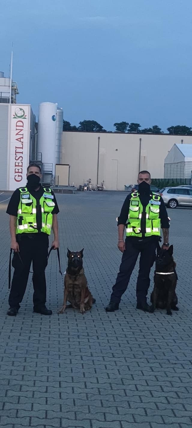 Schutzhund sichert ein gefährdetes Objekt